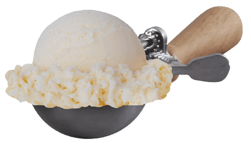 Scoop of Scoop of No Sugar Added Vanilla