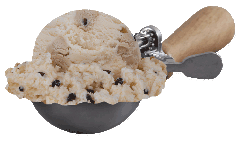 Scoop of Chocolate Chip Cookie Dough