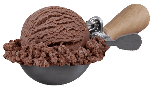 Scoop of Dutch Chocolate