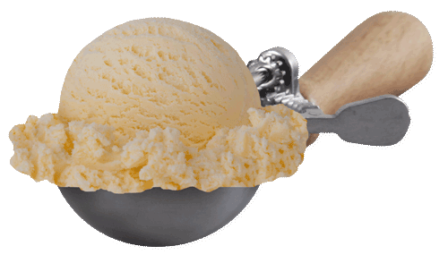 Scoop of French Vanilla