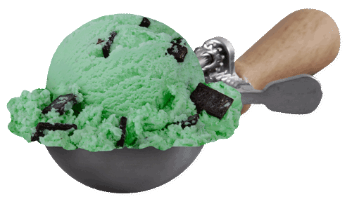 Scoop of Mint Chocolate Chip
