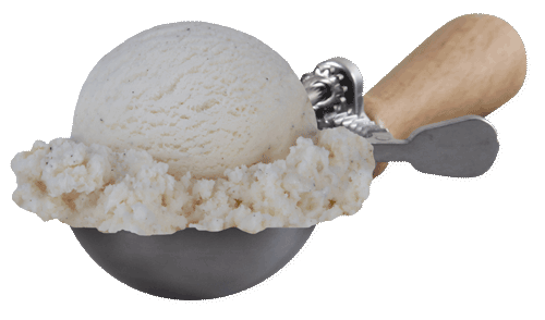 Scoop of Natural Vanilla Bean