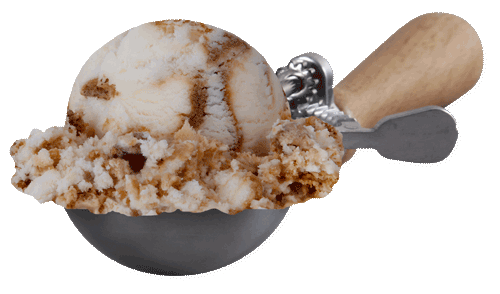 Scoop of Pecan Pralines 'n Cream