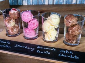 Blue Bell Tasting Flight with Ultimate Neapolitan, Strawberry, Homemade Vanilla and Dutch Chocolate in individual glasses