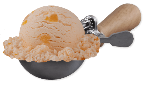 Scoop of Peaches & Homemade Vanilla