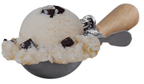 Scoop of Chocolate Chip