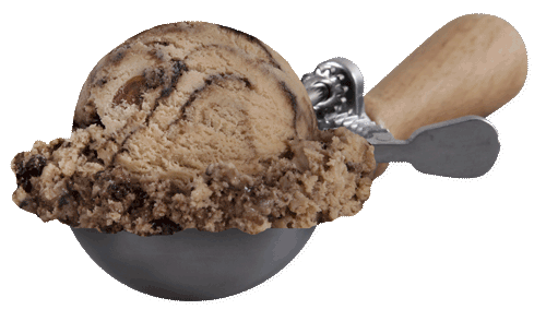 Scoop of Mocha Almond Fudge