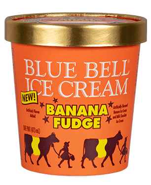 Blue Bell Banana Fudge Ice Cream in pint